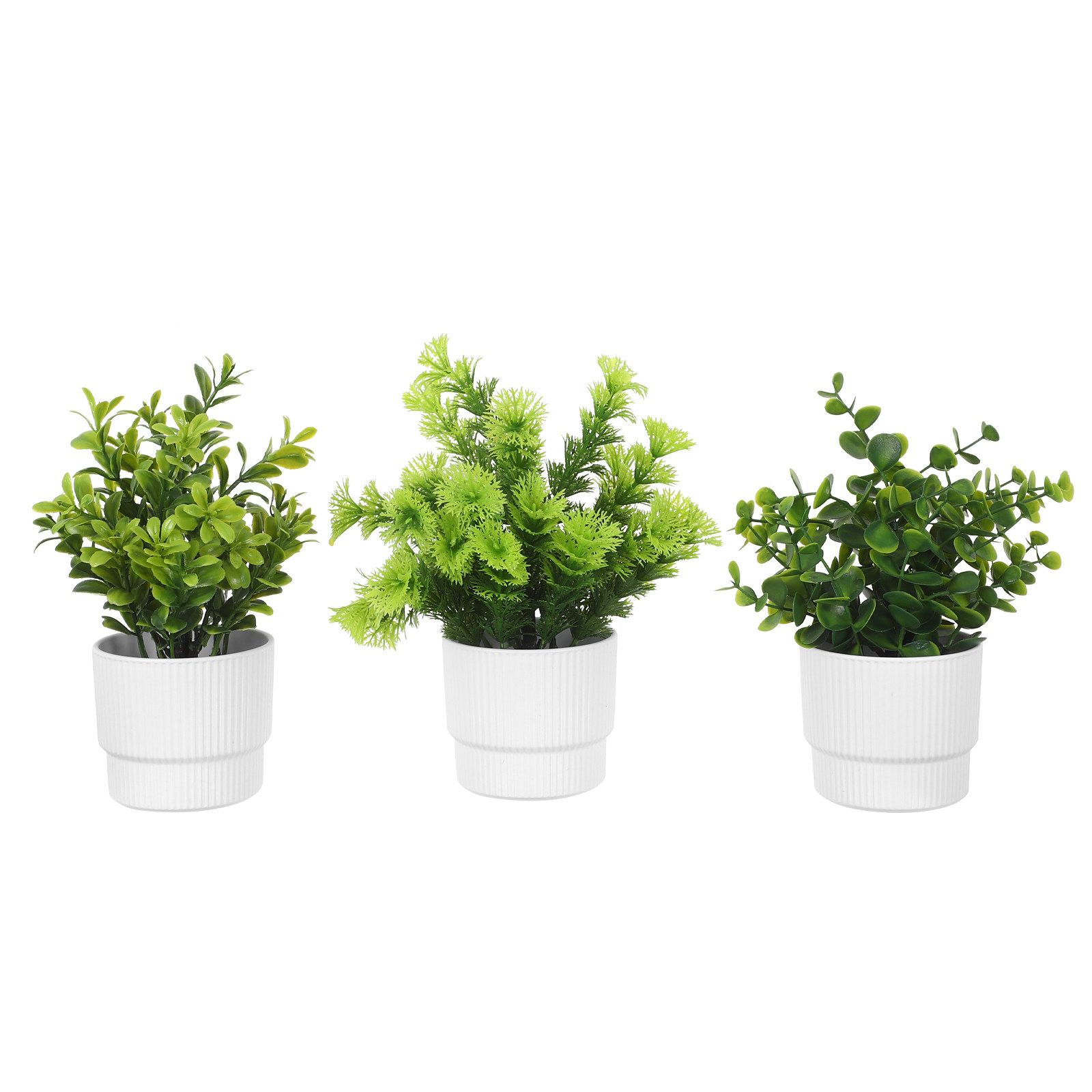 3 قطع نباتات أوكالبتوس صغيرة ا - مراجعة Plant Pot Small Desk وسعره