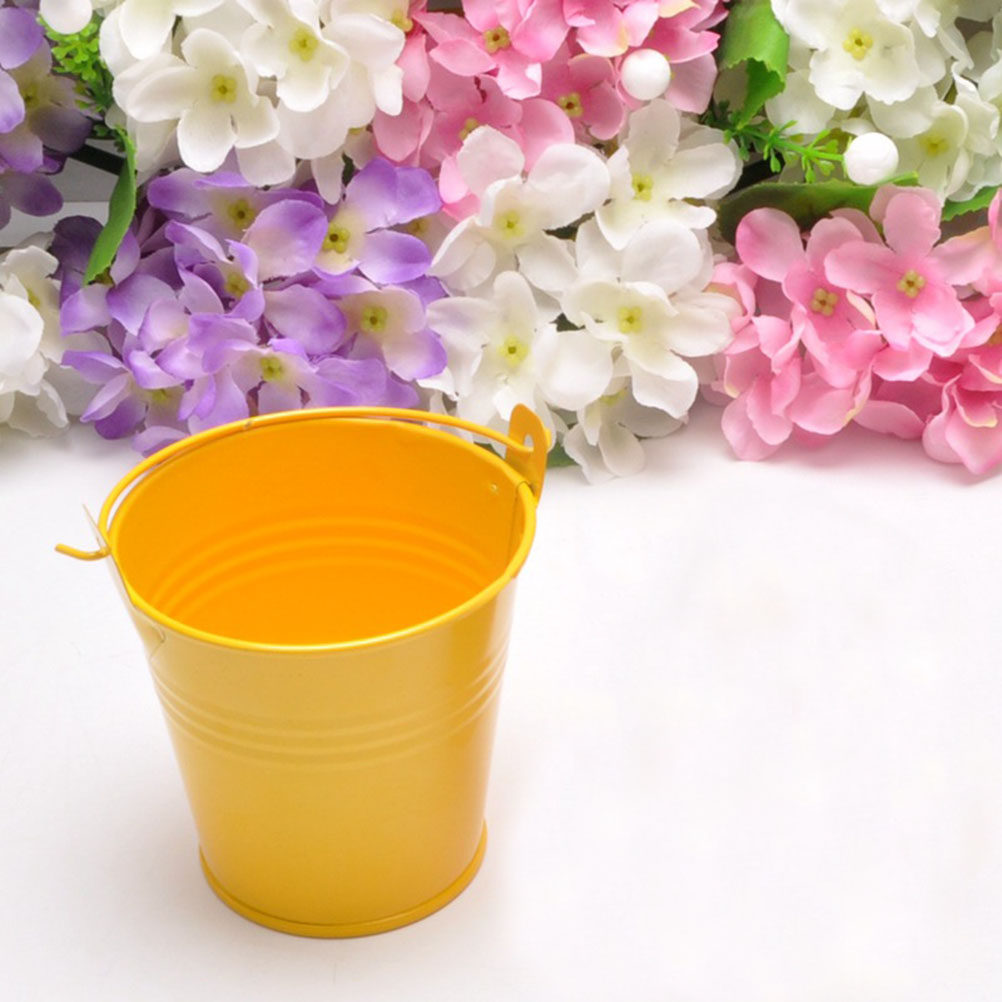 6 قطع من الدلاء المعدنية الصغي - مراجعة Plant Pot Small Desk وسعره