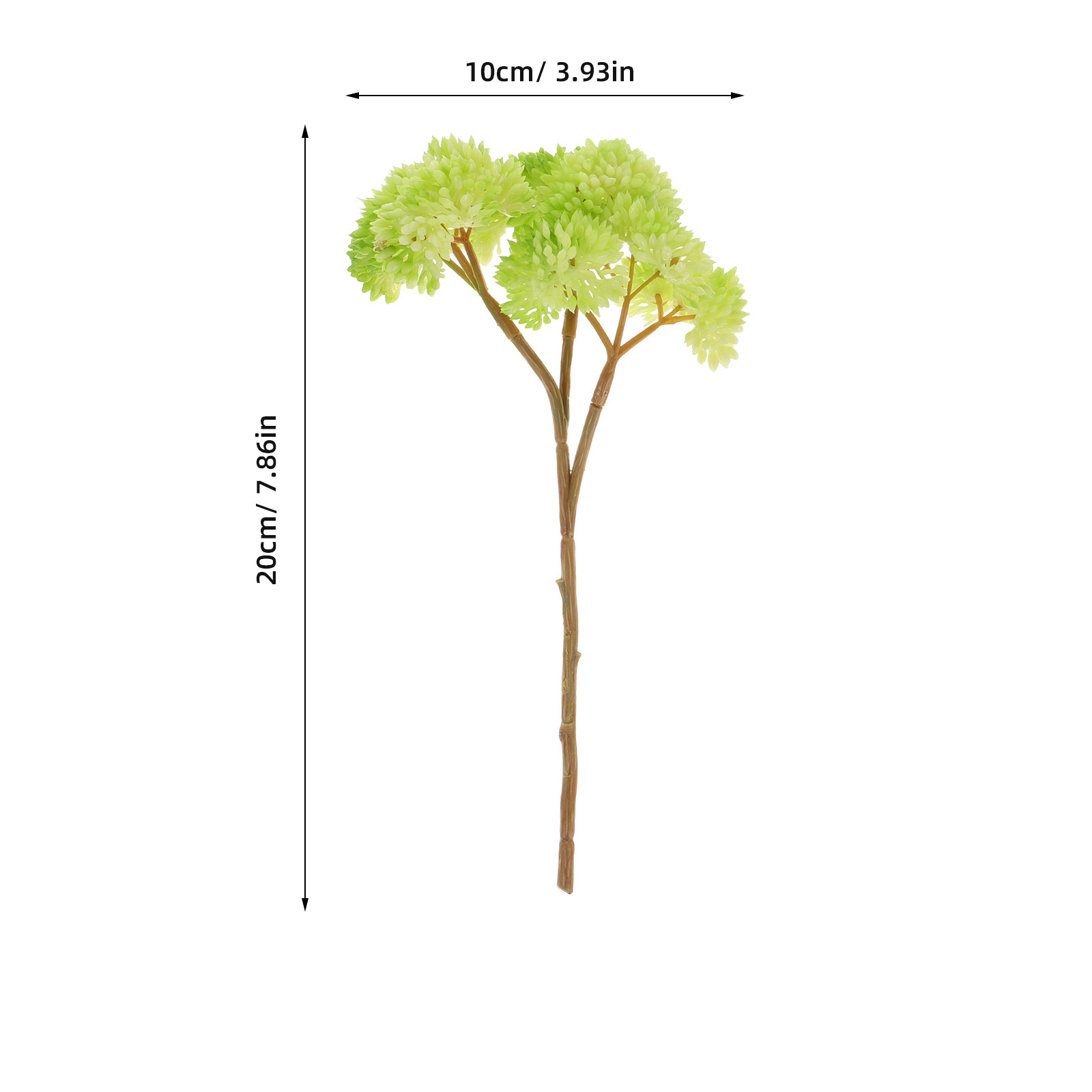 نباتات عصارية صغيرة واقعية خضر - مراجعة Desk Setup With Plants وسعره