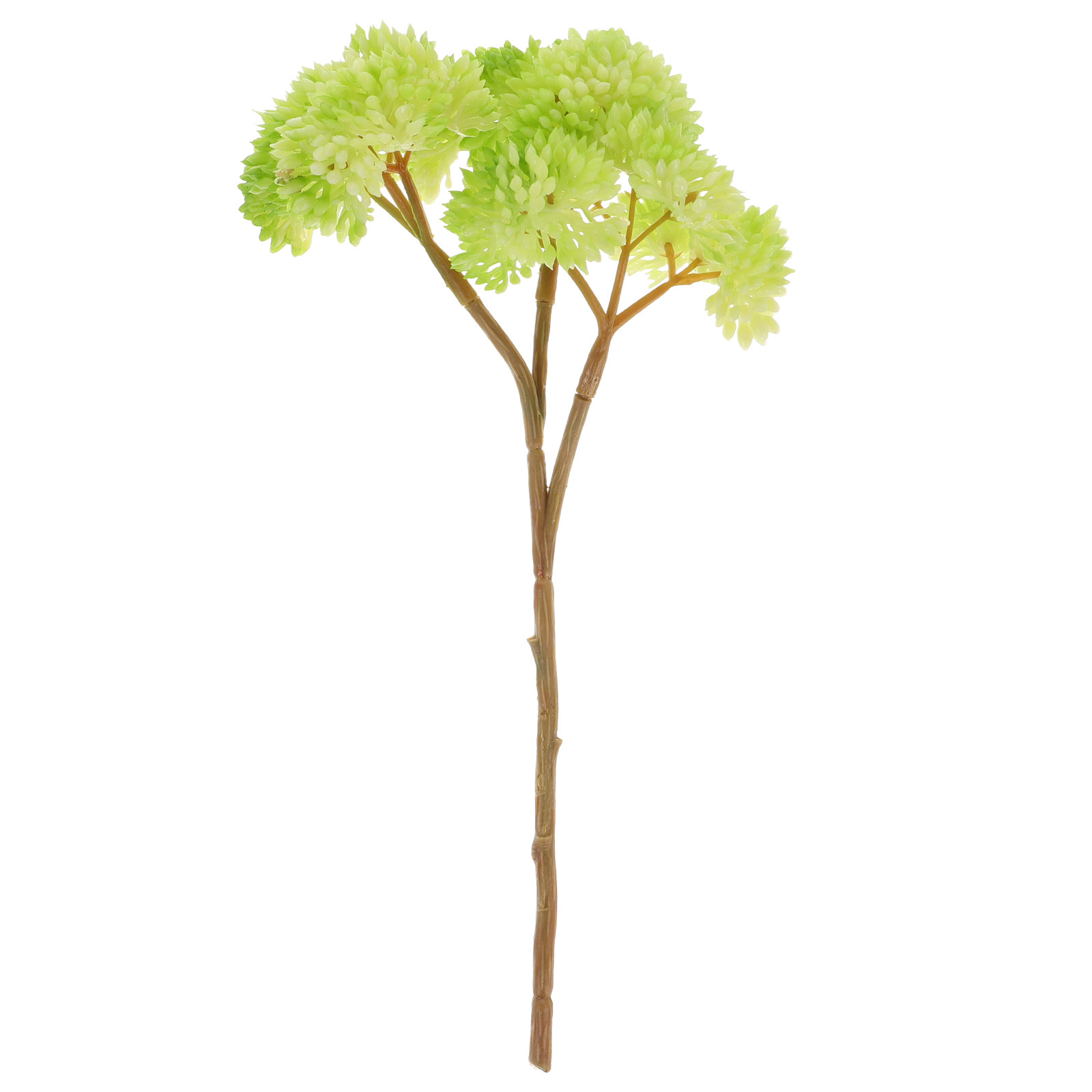 نباتات عصارية صغيرة واقعية خضر - مراجعة Desk Setup With Plants وسعره